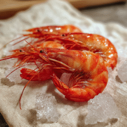 Raw Argentine red shrimp on ice – seafood close-up